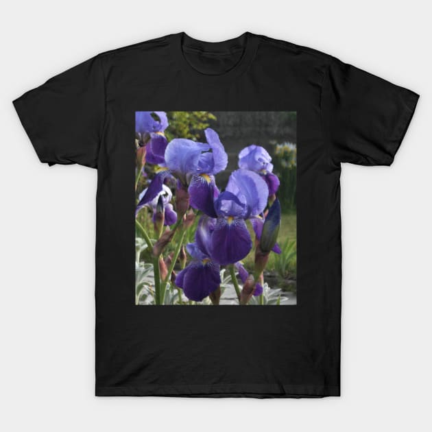 Belles - Irises T-Shirt by All my art